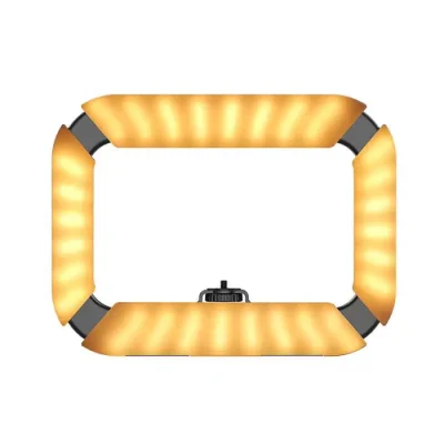 ULANZI U200 Smartphone Video Rig with Ring Light - Image 2