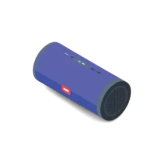 Portable Speaker