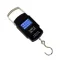 Portable Digital Weight Scale With LED Backlight (Up To 50kg) - 1