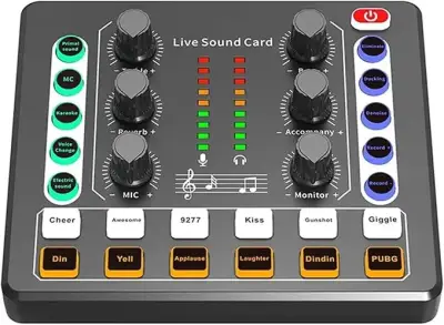 Audio Interface with DJ Mixer Live Sound Card Effects and Voice Changer,Prefect for live Streaming/Podcasting/Gaming