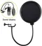 Double Layer Recording Studio Microphone Wind Screen Pop Filter Mask Shield - 2