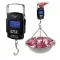 Portable Digital Weight Scale With LED Backlight (Up To 50kg) - 3