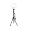 12 Inch Ring Light with free Stand - 1
