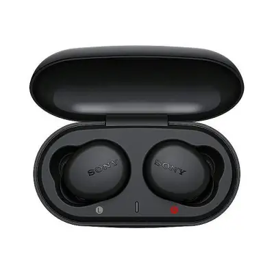 Sony WF-XB700 Truly Wireless Headphones