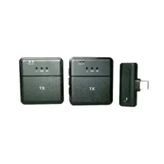 SX31 3 in 1 Multi-functional Dual wireless Microphone Type c